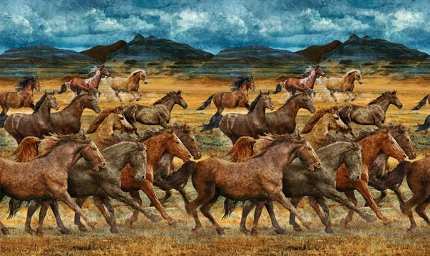 WILD HORSES(E-1), DP23031-34, NORTHCOTT