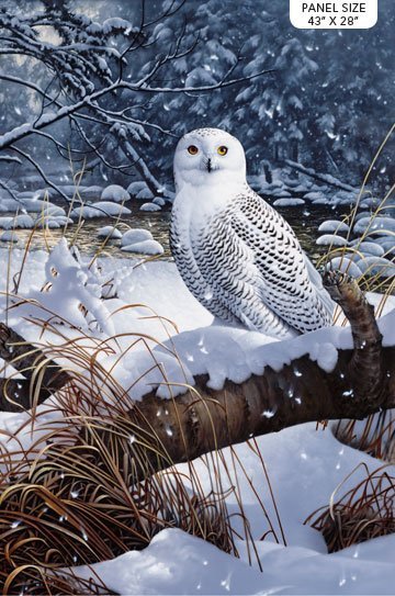 SNOWY OWL PANEL